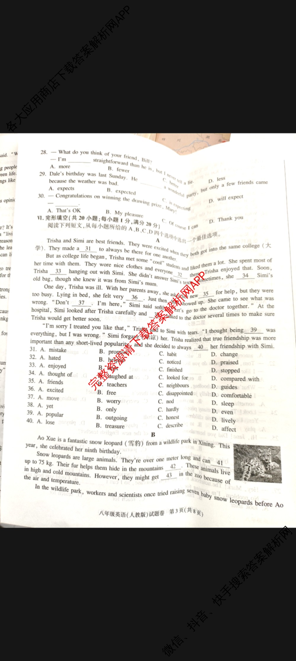 安徽省2025-2026学年八年级上学期期中教学质量调研A卷(11.13-14)试卷及答案汇总（含生物(人教版) 数学(北师大版) 物理(沪粤 版)等20份）英语试题