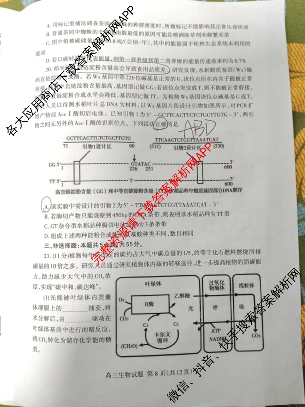 [泰安二模]2024年泰安市高三二轮检测(2024.04)（含地理 生物 语文等9份）生物试题