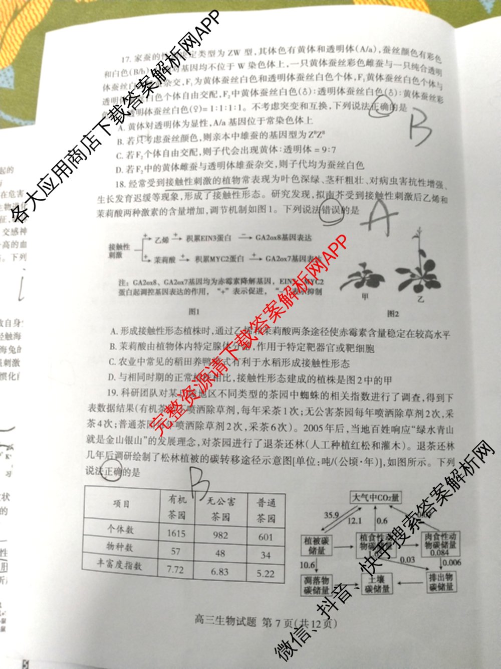 [泰安二模]2024年泰安市高三二轮检测(2024.04)（含地理 生物 语文等9份）生物试题