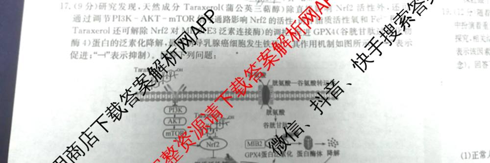 耀正文化2026届高三年级12月名校阶段检测试卷及答案汇总（含日语 数学 地理等10份）生物试题