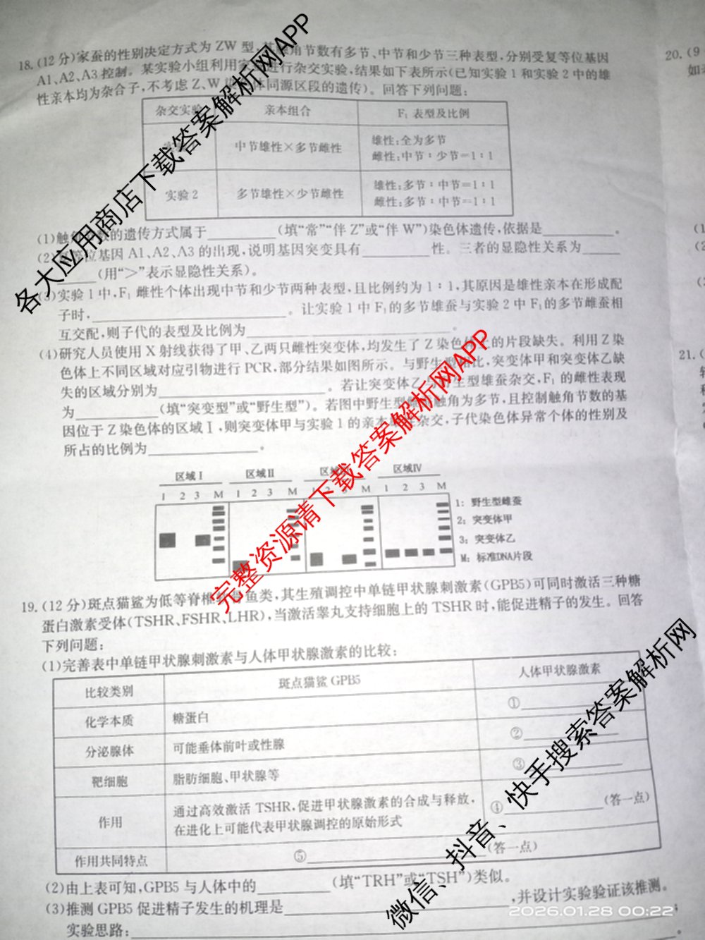 九师联盟2025~2026学年高三核心模拟卷(中)(二)试卷及答案汇总（36科全）生物试题