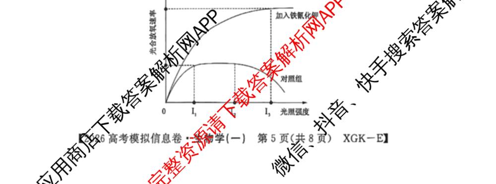 2026年普通高等学校招生全国统一考试模拟信息卷(一)1试卷及答案汇总（含历史(XGK-B) 化学(XGK-B) 物理(XGK-B)等）生物试题