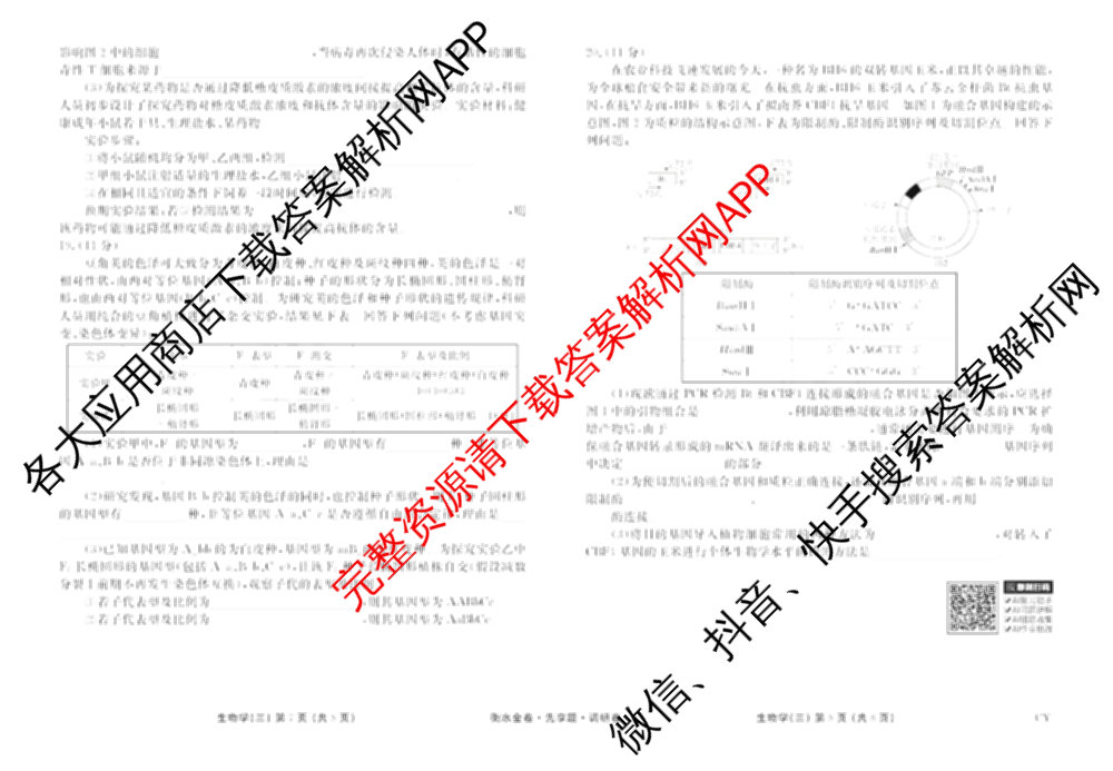 衡水金卷先享题调研卷2026年普通高等学校招生全国统一考试模拟试题(三)3各科答案及试卷(已更新化学(山东专版)、历史(HN)、文综(新教材)等91份)生物试题