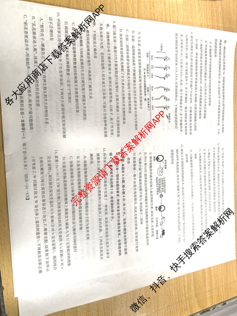 XKB-J-EX 2026届普通高等学校招生全国统一考试仿真模拟金卷(一)1试卷及答案汇总（含语文(XKB-J1-EX)、政治(XKB-J3-EX)、地理(XKB-J10-EX)等14份）生物试题