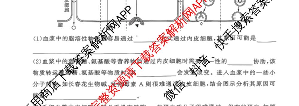 百师联盟2025-2026学年高一11月联考试卷及答案汇总（含地理 物理 生物等9份）生物试题