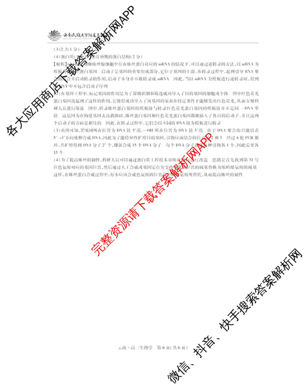 云南民族大学附属高级中学2026届高三联考卷(四)各科答案及试卷(已更新数学 物理 生物等9份)生物答案