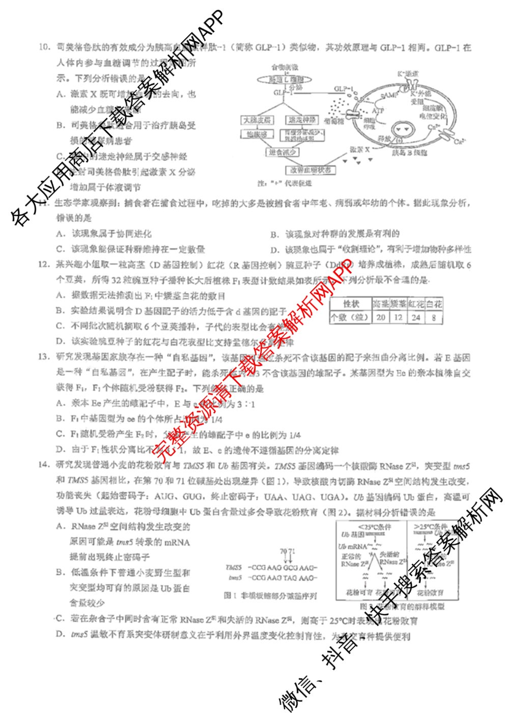 重庆康德2026届重庆市普通高等学校招生全国统一考试 高考模拟调研卷(二)（含历史、数学、化学等）生物试题