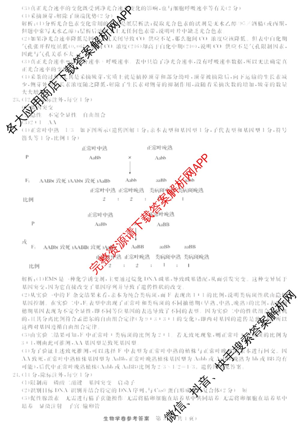 浙江强基联盟2025年12月高二联考试卷及答案汇总（含日语、地理、数学等11份）生物答案