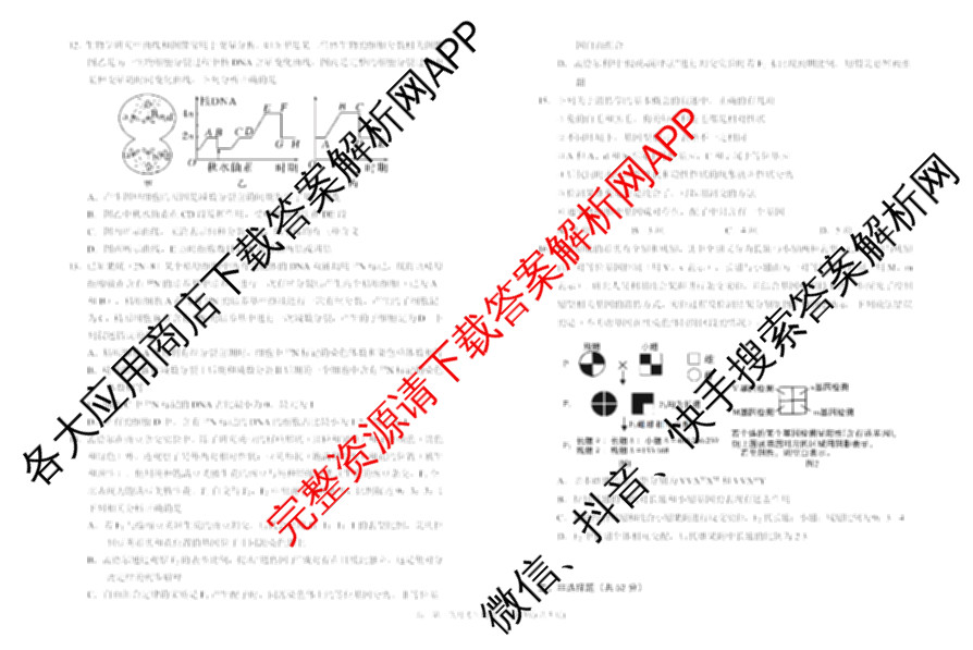 银川一中2026届高三年级第三次月考各科答案及试卷（9科全）生物试题