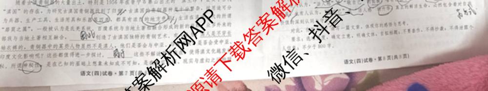 云南省名校联盟2026届高三上学期联考模拟(四)[试卷无标题]（含政治、地理、历史等）语文试题