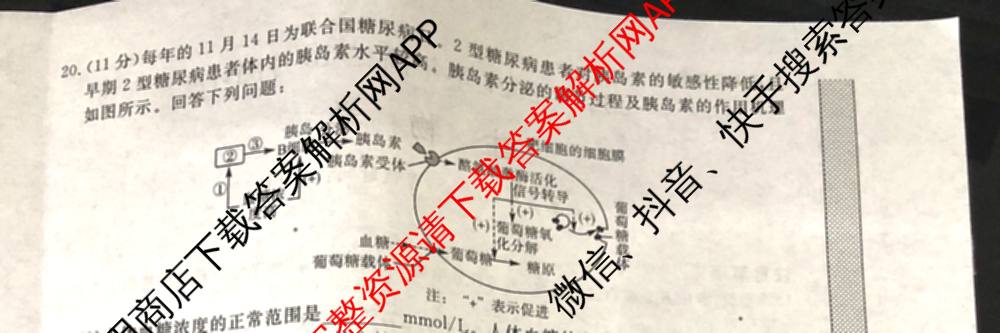 河南部分重点中学2026~2027学年高二10月测评(10.30)试卷及答案汇总: 含英语 语文 地理试卷解析生物试题