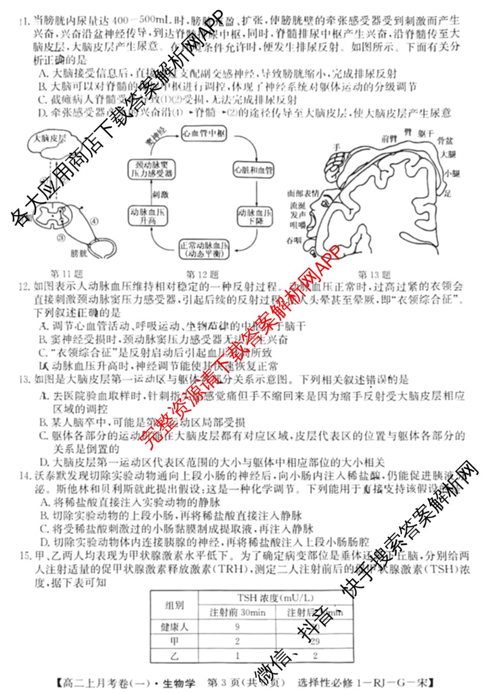 2024~2025全国名校高二上学期第一次月考试卷(含英语(选择性必修第三册-RJ-G-唐) 化学(选择性必修1-RJ-G-宋) 地理(选择性必修1-RJ-G-唐)等)生物试题 2024~2025全国名校高二上学期第一次月考试卷(含英语(选择性必修第三册-RJ-G-唐) 化学(选择性必修1-RJ-G-宋) 地理(选择性必修1-RJ-G-唐)等)生物试题