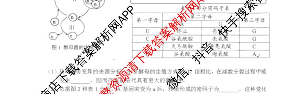 山东省菏泽市2024-2025学年高一下学期教学质量检测(2025.07)各科答案及试卷(已更新政治 化学 历史等9份)生物试题