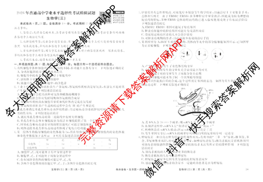 衡水金卷先享题调研卷2026年普通高等学校招生全国统一考试模拟试题(三)3各科答案及试卷(已更新化学(山东专版)、历史(HN)、文综(新教材)等91份)生物试题