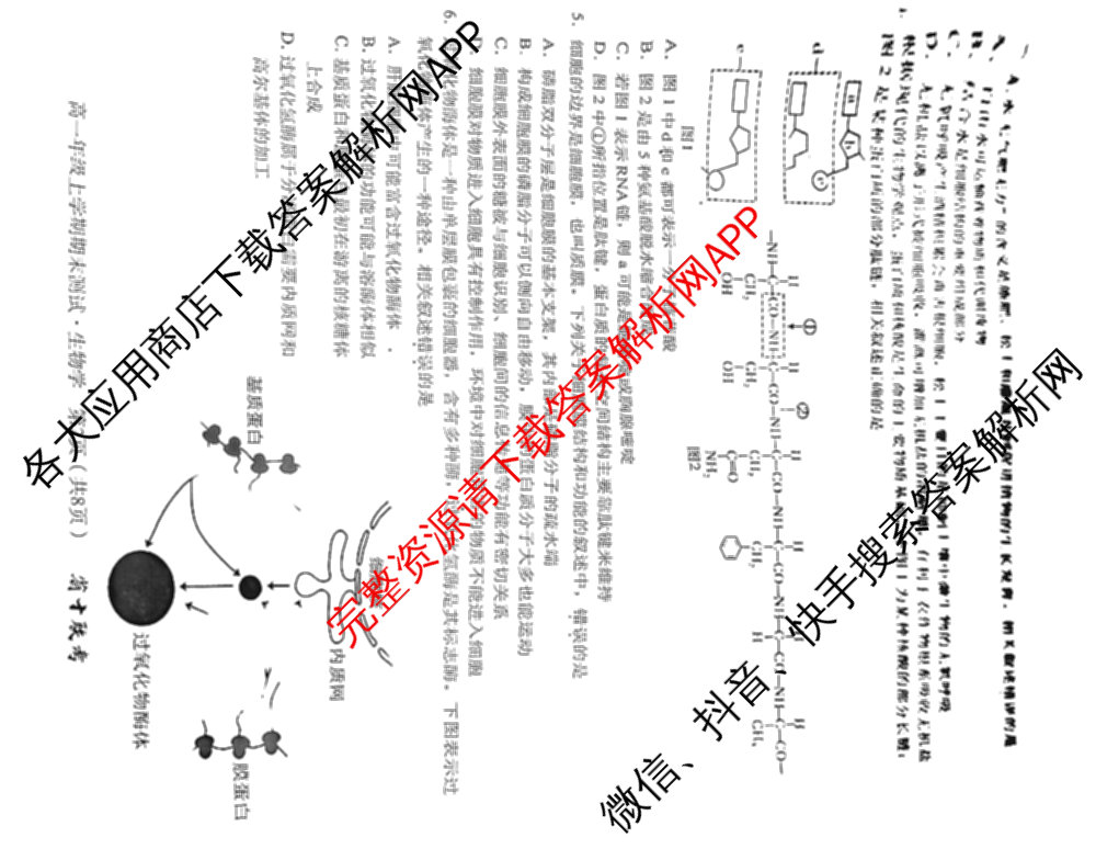 安徽省十联考合肥一中2024-2025学年度高一年级上学期期末测试各科答案及试卷（9科全）生物试题