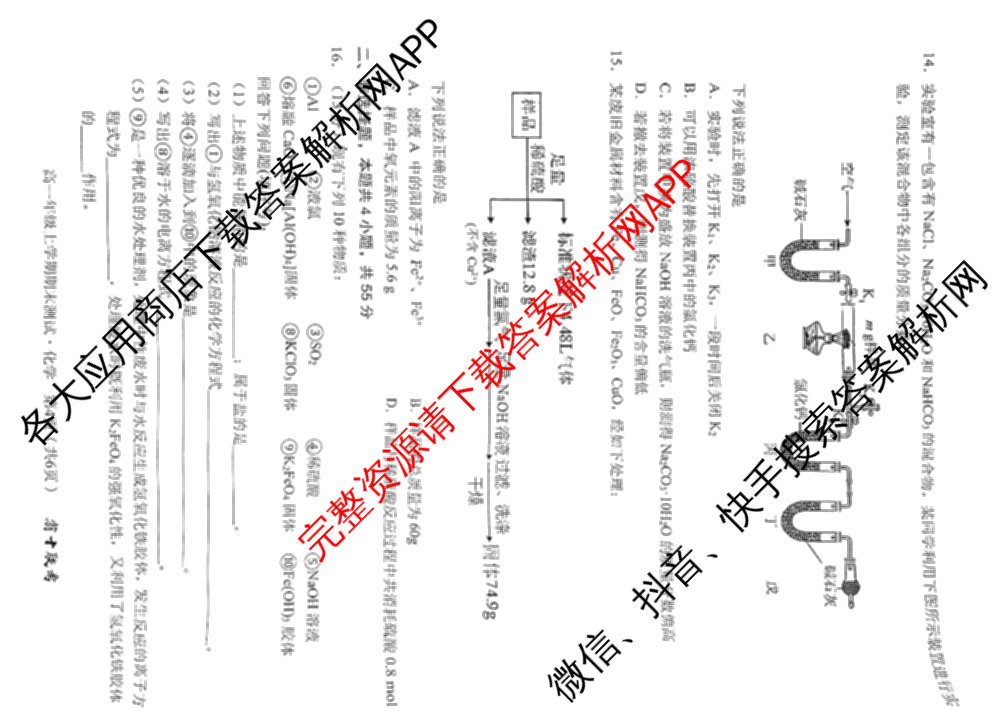 安徽省十联考合肥一中2024-2025学年度高一年级上学期期末测试各科答案及试卷（9科全）化学试题