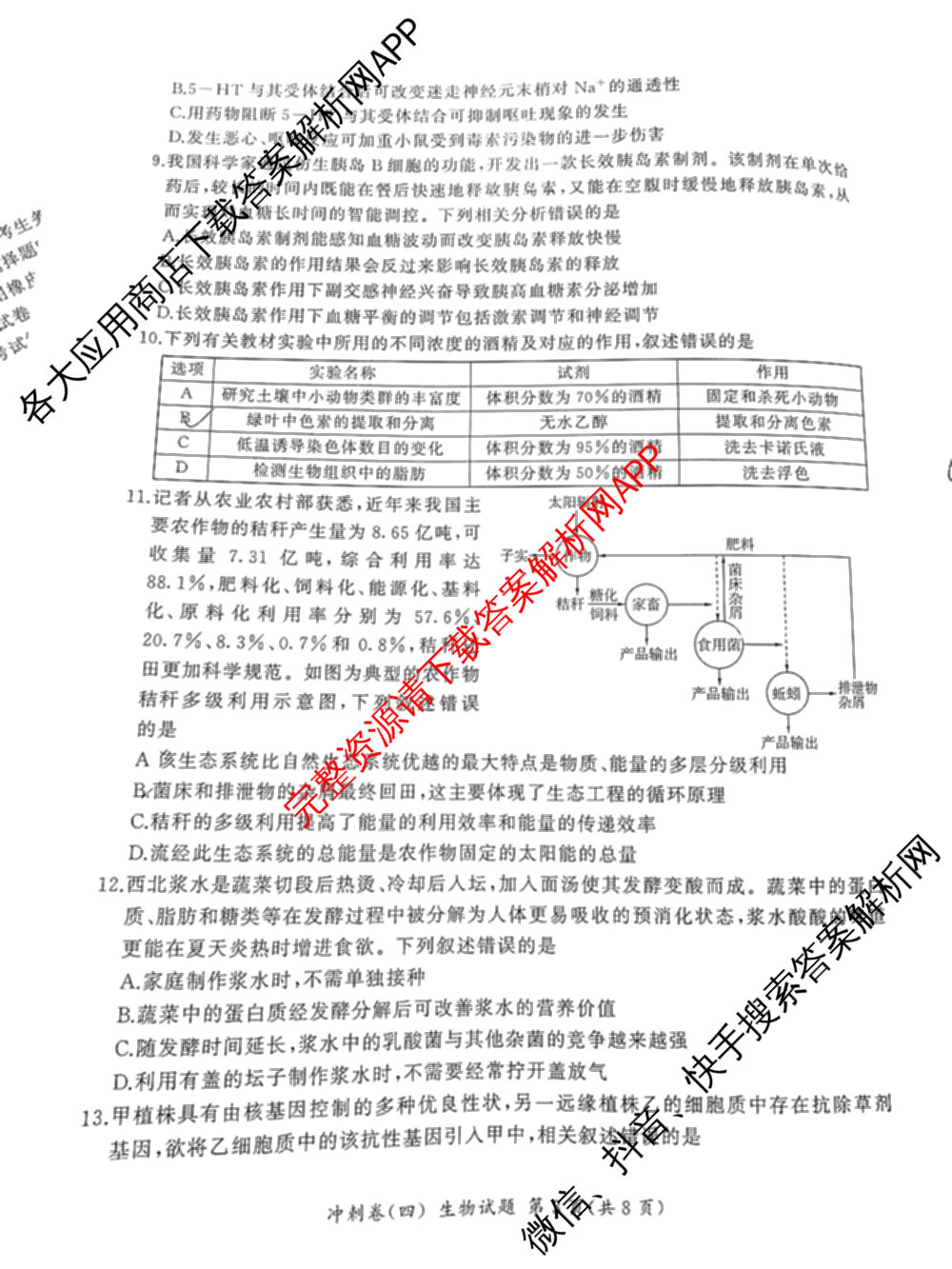 百师联盟2025届高三冲刺卷(四)4试卷及答案汇总（39科全）生物试题