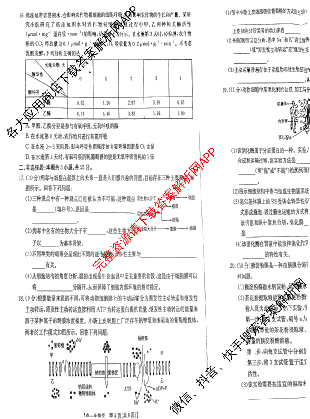 河南省2024-2025年度高一期末考试(1.17)试卷及答案汇总(已更新生物、政治、地理等9份)生物试题