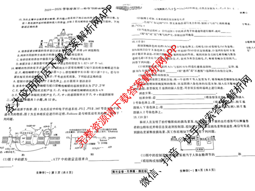 衡水金卷先享题摸底卷 2025-2026学年度高三一轮复摸底测试卷(一)1试卷及答案汇总: 含物理(Q) 地理(S) 政治(Q)试卷解析生物试题