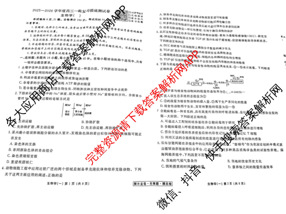 衡水金卷先享题摸底卷 2025-2026学年度高三一轮复摸底测试卷(一)1试卷及答案汇总: 含物理(Q) 地理(S) 政治(Q)试卷解析生物试题