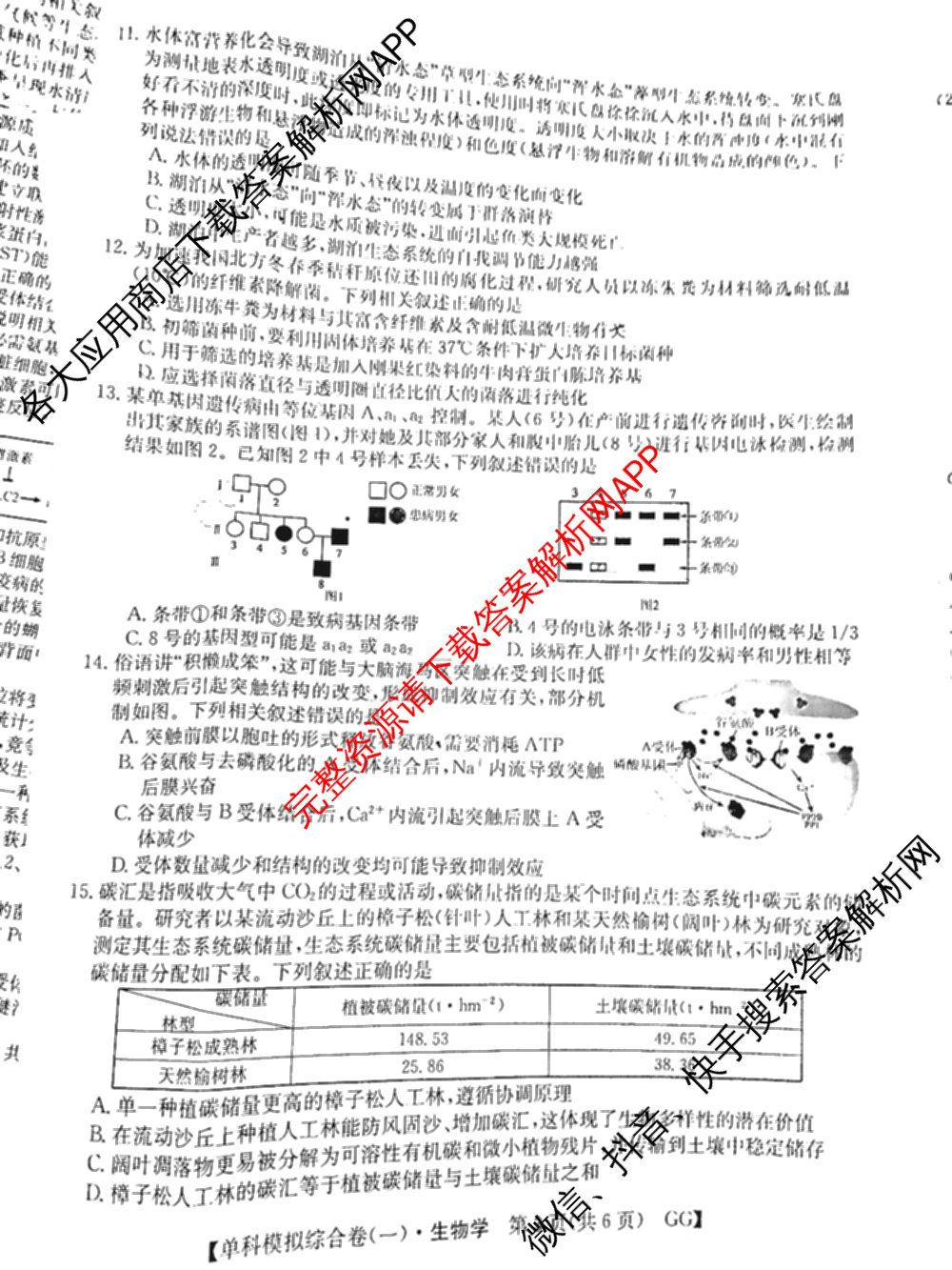 2025新高考单科模拟综合卷(三)3试卷及答案汇总（含历史(湖南) 物理(河北) 生物(河北)等36份）生物试题