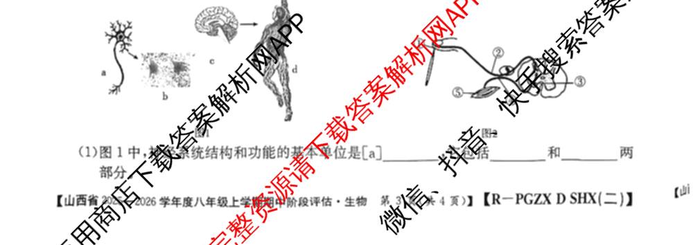 太原市八年级上学期长标期中试卷及答案汇总（含道德与法治(R) 物理(R) 英语(NJB)等）生物试题