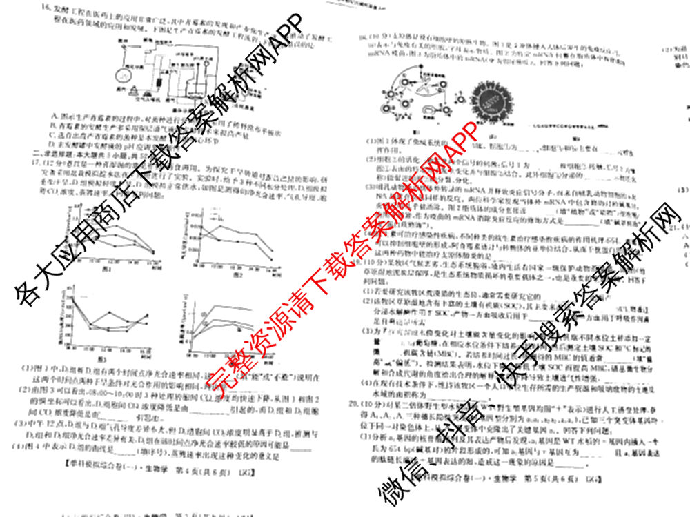 2025新高考单科模拟综合卷(三)3试卷及答案汇总（含历史(湖南) 物理(河北) 生物(河北)等36份）生物试题
