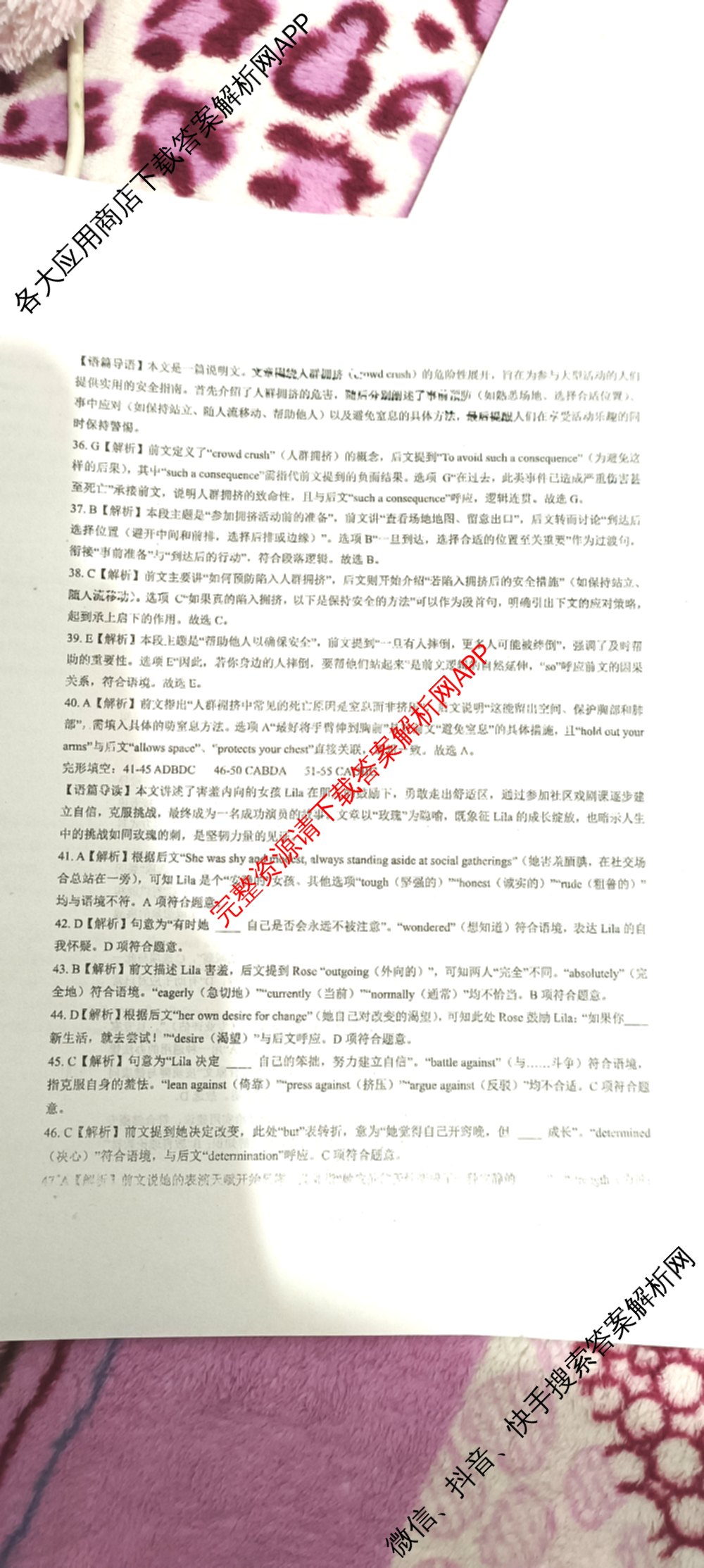 NT河北省2025-2026学年第一学期高二年级11月期中考试(一)各科答案及试卷（含政治 生物 物理等10份）英语答案