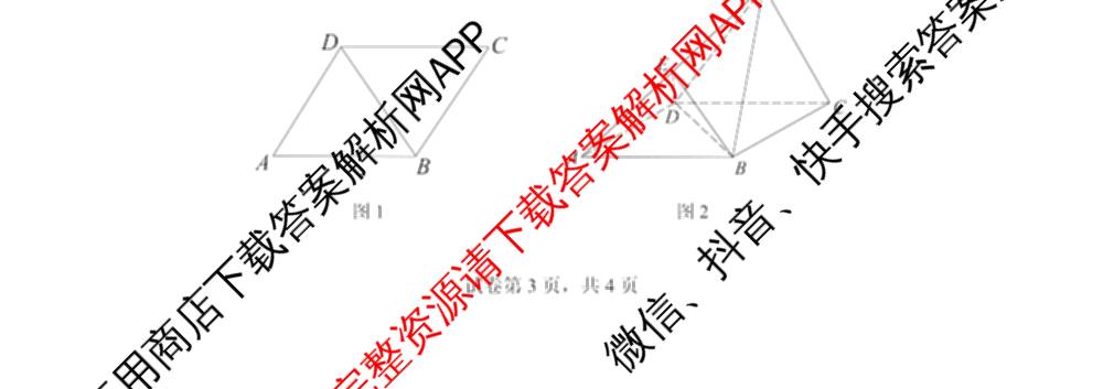 2024-2025学年第二学期罗湖区高二期末(试卷类型A)各科答案及试卷（含物理 历史 英语等）数学试题