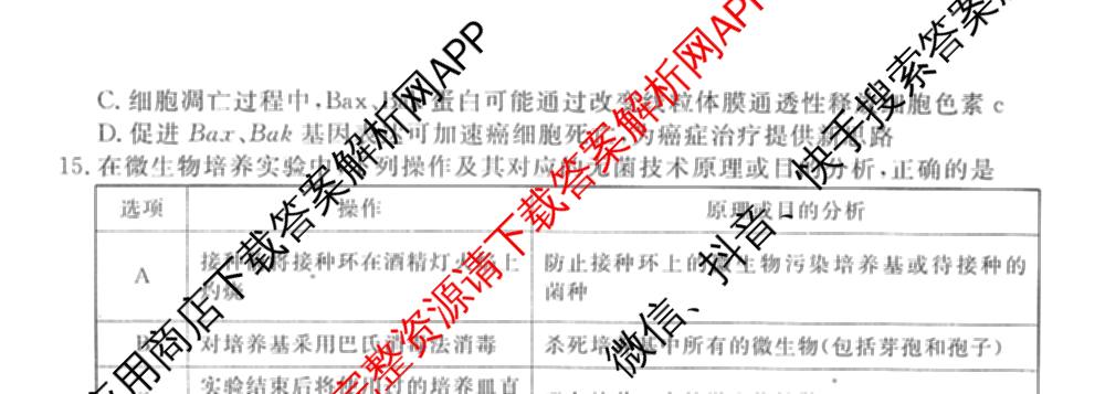 衡水金卷先享题调研卷2026年普通高等学校招生全国统一考试模拟试题(四)4试卷及答案汇总(已更新生物(Y) 政治(FJ) 地理(HJ)等31份)生物试题
