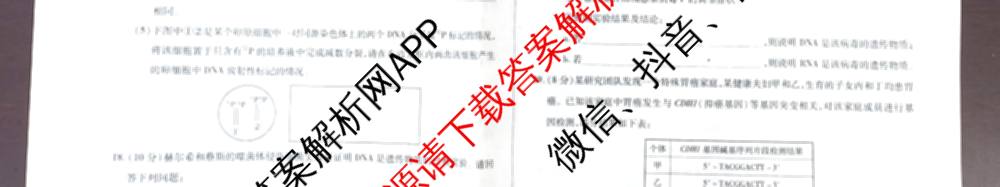 天一大联考2024-2025学年高一年级阶段性测试(四)（含地理、地理(宣城专版)、物理(池州专版)等20份）生物试题