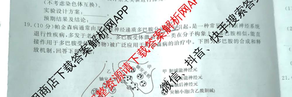 陕西省2025~2026学年高三第一学期质量检测卷(四)(6163C)(已更新数学 生物 物理等9份)生物试题