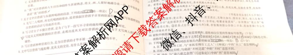 2025年陕西省高三教学质量检测(四)各科答案及试卷（含化学 历史 语文等）语文试题