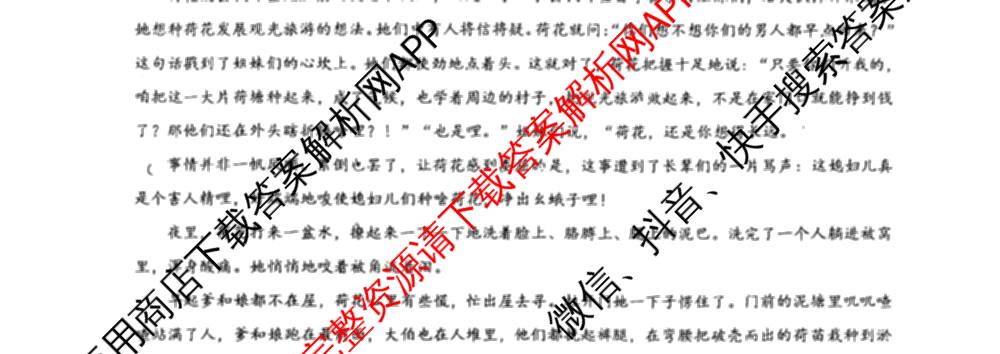 深圳中学2025-2026学年度第一学期期中考试高一各科答案及试卷（含历史、政治、生物等）语文试题