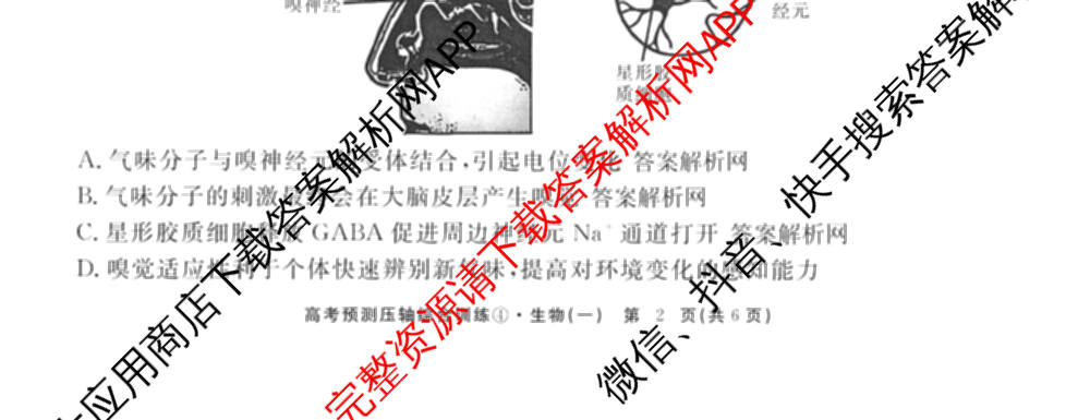2026届高考预测压轴综合训练(一)1试卷及答案汇总（10科全）生物试题