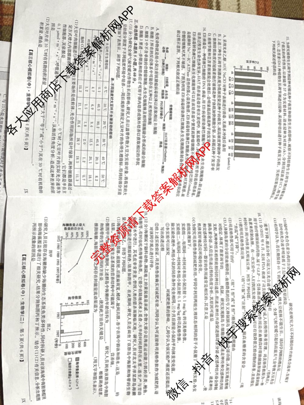 九师联盟2024~2025学年高三核心模拟卷(中)(二)2各科答案及试卷: 含政治(JX) 生物(D1) 生物(HB)试卷解析生物试题