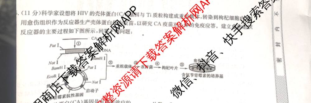 九师联盟2024~2025学年高三核心模拟卷(中)(二)2各科答案及试卷: 含政治(JX) 生物(D1) 生物(HB)试卷解析生物试题