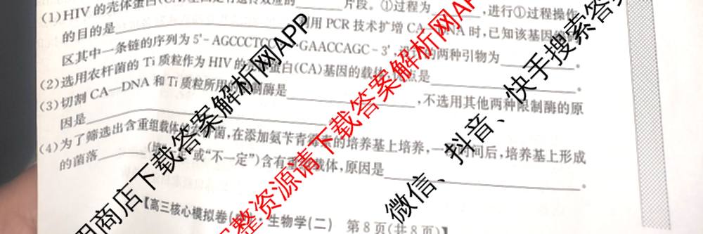 九师联盟2024~2025学年高三核心模拟卷(中)(二)2各科答案及试卷: 含政治(JX) 生物(D1) 生物(HB)试卷解析生物试题