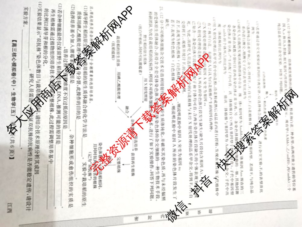 九师联盟2025~2026学年高三核心模拟卷(中)(五)（含化学(D1)、历史(D2)、政治(B)等）生物试题
