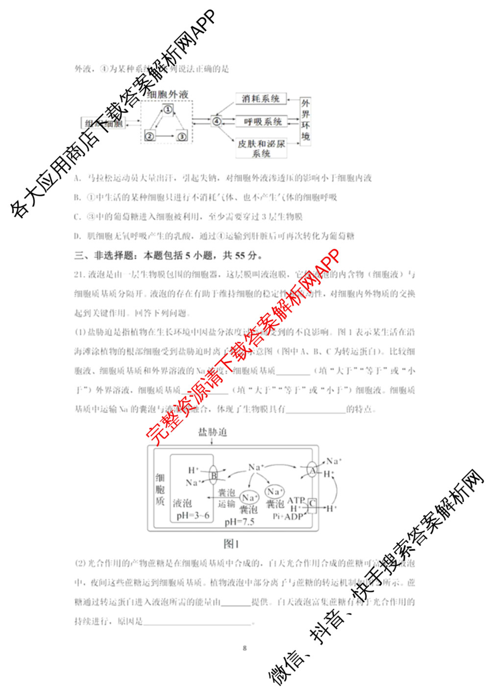2025年11月山东师大附中高三期中检测（9科全）生物试题