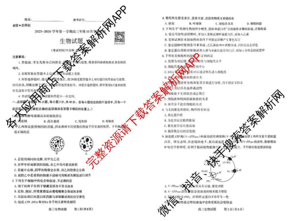 三重教育山西省2025-2026学年第一学期高三年级10月学情检测试卷及答案汇总（含数学、政治、地理等9份）生物试题