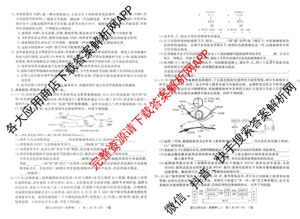 2026普通高等学校招生全国统一考试综合模拟卷(二)2试卷及答案汇总（含政治(C) 地理(C) 数学(X)等）生物试题