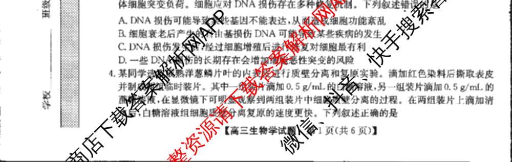 临洮县2025年暑假学质量检测(8月)高三各科答案及试卷（9科全）生物试题
