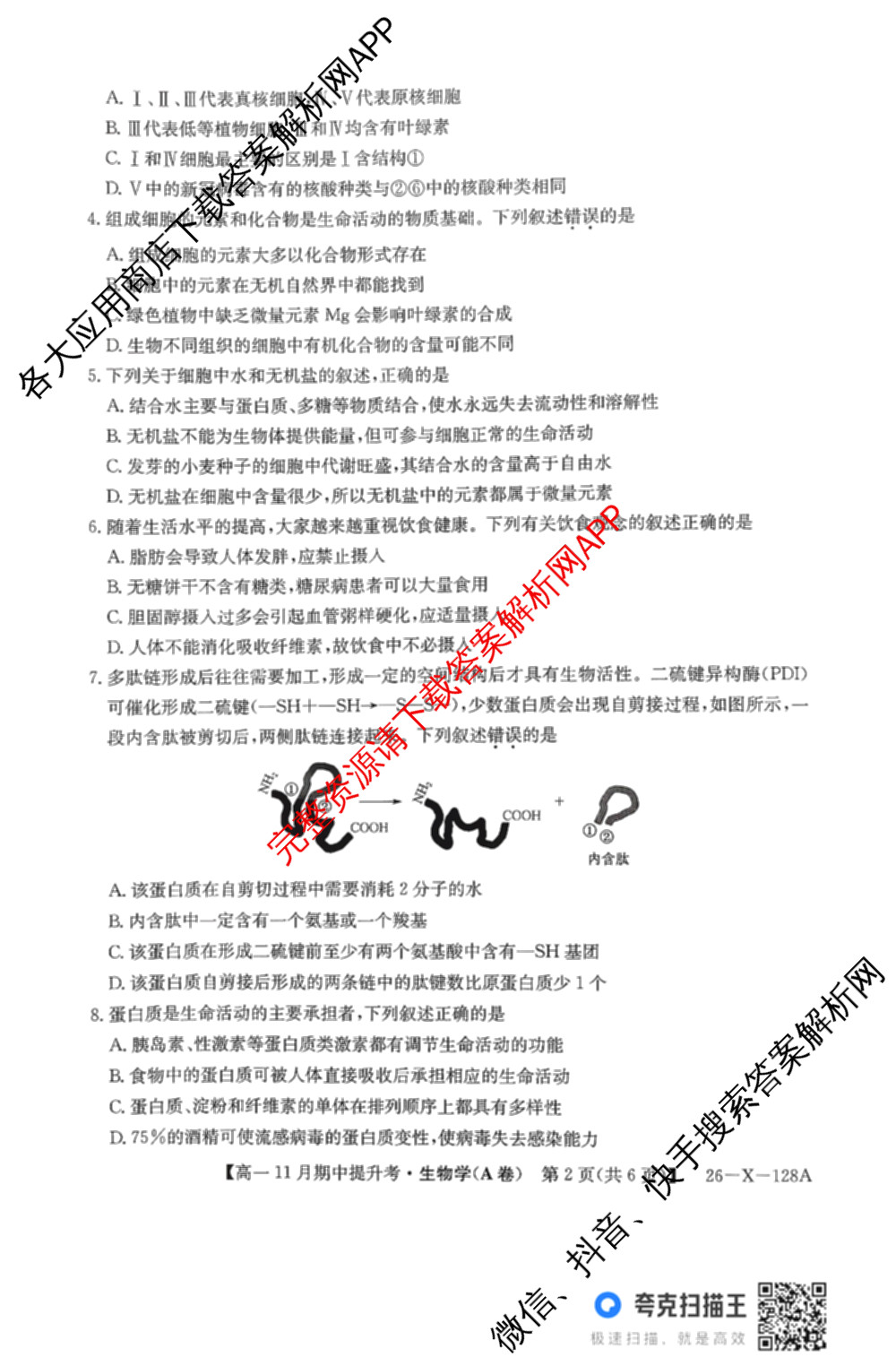 三晋卓越联盟2025~2026学年高一11月期中提升考(26-X-128A)各科答案及试卷（含物理(A卷) 物理(B卷) 英语等17份）生物试题