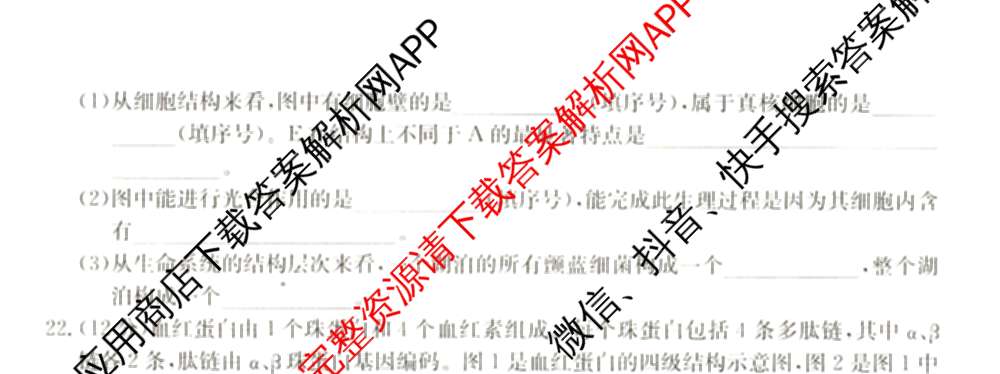 2024~2025全国名校高一第一学期期中考试试卷（含语文(必修上册-BB-G-唐) 英语(必修第一册-RJ-G-唐) 政治(必修1-BB-G-唐)等10份）生物试题