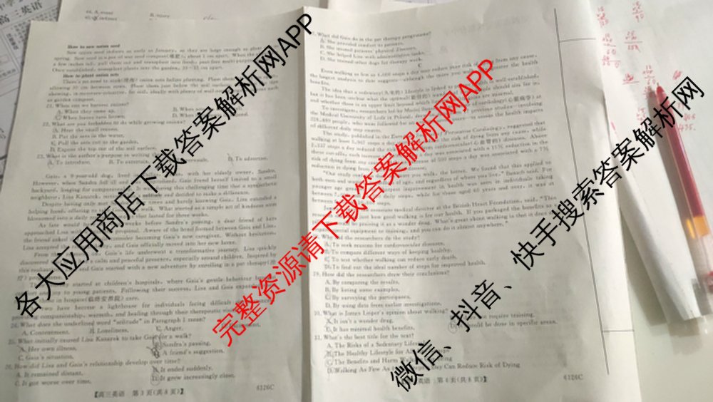 定西市安定区福台中学2025~2026学年第一学期期中考试(6126C)高三各科答案及试卷（含物理 历史 语文等）英语试题