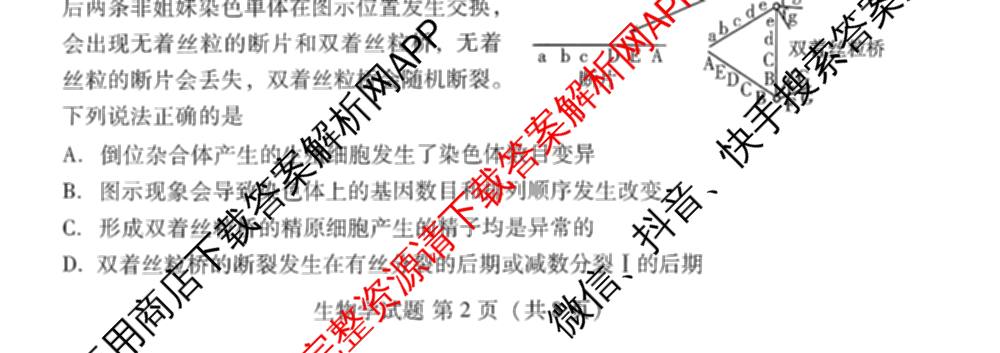 山东省潍坊市2026届高三阶段性诊断监测(2025.11)（含政治、数学、地理等）生物试题