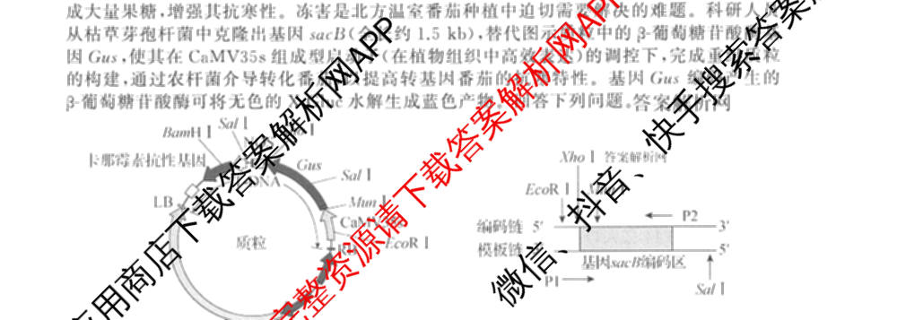 天舟高考衡中同卷2026年普通高等学校招生全国统一考试模拟信息卷(五)5(已更新化学(无字母)、数学(B)、物理(WY)等35份)生物试题