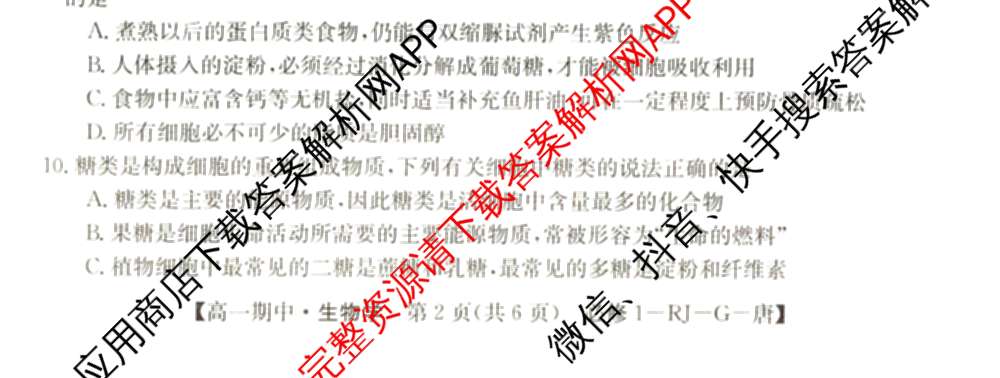 2024~2025全国名校高一第一学期期中考试试卷（含语文(必修上册-BB-G-唐) 英语(必修第一册-RJ-G-唐) 政治(必修1-BB-G-唐)等10份）生物试题