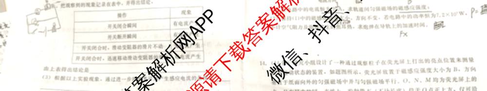 新时代(NT)教育2025-2026学年第一学期高二年级11月期中考试(二)各科答案及试卷（9科全）物理试题